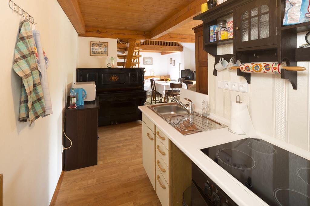 Apartmany U Kocek ターボル 部屋 写真